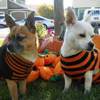 Teri Burt Photo 7