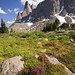 Heather Bridgers Photo 15