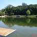 Stephen Carp Photo 12