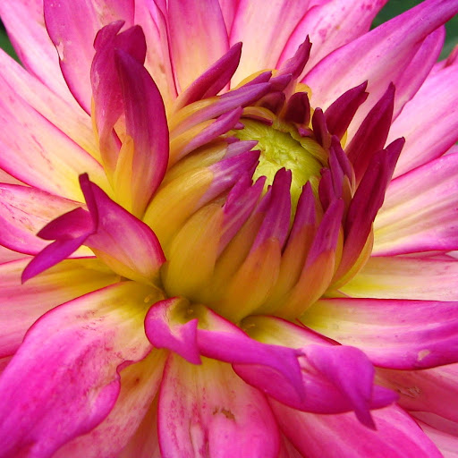 Judith Green Photo 33