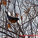 Warren Robins Photo 11