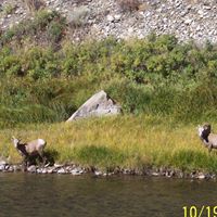 Rodney Bennett Photo 25