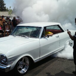 Matthew Whitley Photo 28