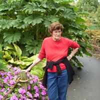 Irene Lowe Photo 20