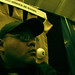 Joe Mcgee Photo 42