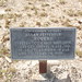 Allan Rogers Photo 13