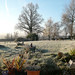 Jason Whittaker Photo 7