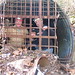 Jacob Chapman Photo 32
