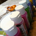 Tracy Craft Photo 11