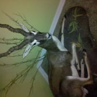 Tracy Loper Photo 10