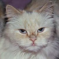 Deborah Nesbitt Photo 6