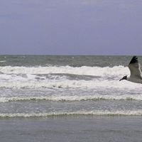 David Roush Photo 31