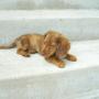 Justin Potts Photo 29