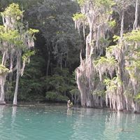 Martin Hanlin Photo 13 Martin Hanlin Photo 13