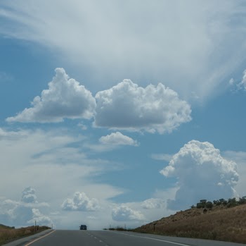 Steve Horvath Photo 16