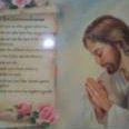Ladonna Cook Photo 27