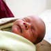 Thomas Meek Photo 41