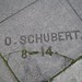 Virginia Schubert Photo 12