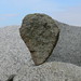 Terry Robison Photo 21