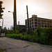 Jo Spaulding Photo 16