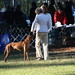 Carol Saucier Photo 10