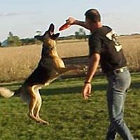 Raymond Culp Photo 4