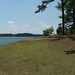 Virginia Bugg Photo 8