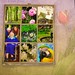 Lucy Robinson Photo 16