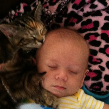 Tammy Kuhn Photo 15