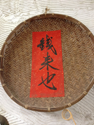 Mei Yang Photo 5