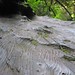 Hilary Harrison Photo 22