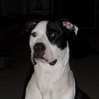 Tammy Roth Photo 32