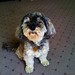 Cindy Robinson Photo 29