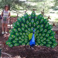 Linda Hoffman Photo 23