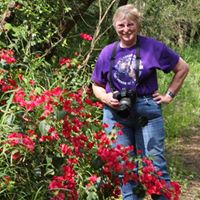 Nancy Ullrich Photo 10