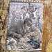 Kathy Armstrong Photo 10