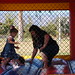 Lynne Jordan Photo 23