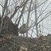Carl Sage Photo 11