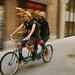 Lynn Dykes Photo 10