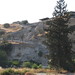 Nicholas Bruns Photo 14