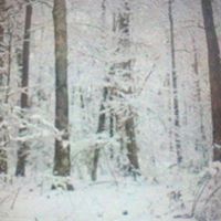 Joanne Graham Photo 38