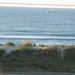 Cheryl Combs Photo 17
