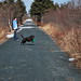Kristy Smith Photo 15