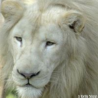 Nicholas Staley Photo 3