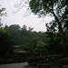 Yue Zhou Photo 14