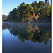 Helen Simms Photo 7