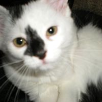 Ruby Ransom Photo 2