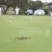 Jill Howe Photo 15