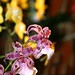 Jay Blom Photo 8
