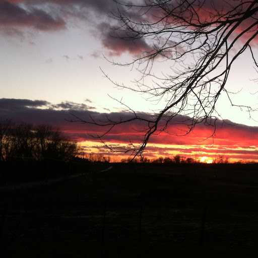 Nancy Holbrook Photo 29